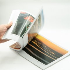 彩页宣传品定制