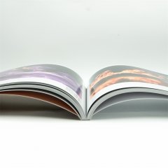 彩页宣传品定制